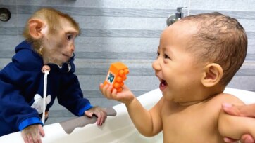 Baby Monkey Workout With Kids – Fun Exercise Time & Cute Fitness Moments