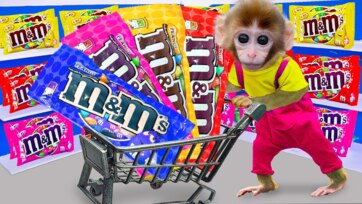 Baby Monkey Goes Shopping – Cute Monkey Buying Toys & Food